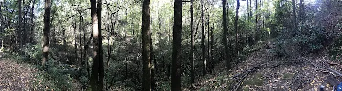 Justus Creek Campsites Picture 5