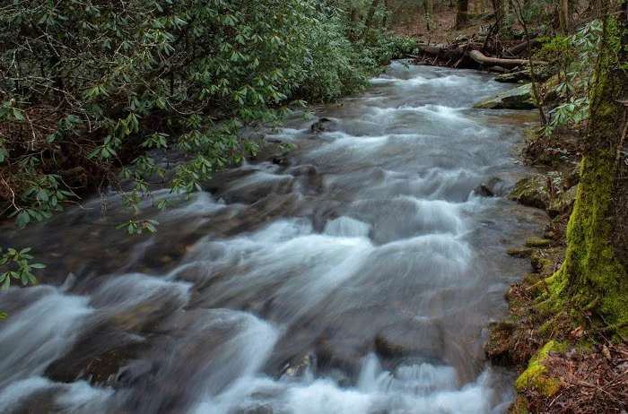 Desoto Falls Recreation Area Picture 1