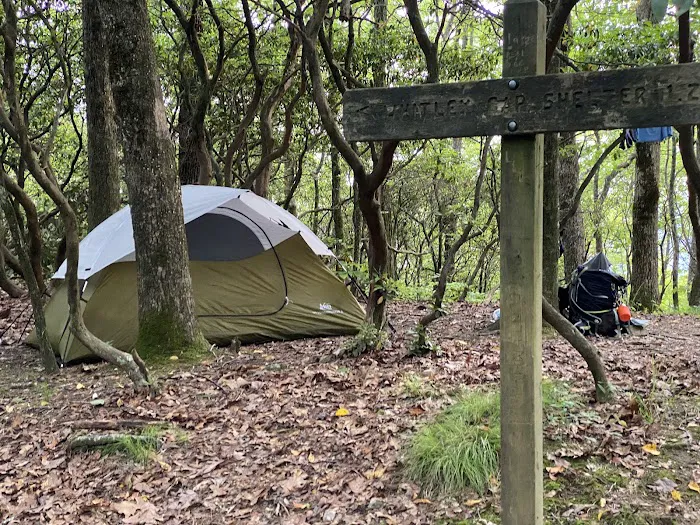 Whitley Gap Shelter Picture 2