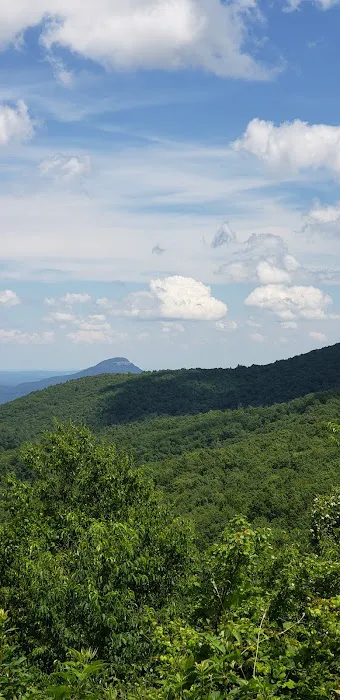 Whitley Gap Shelter Picture 6