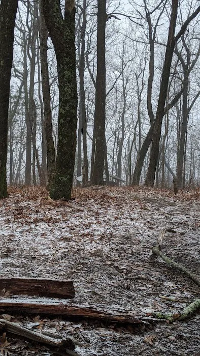 Whitley Gap Shelter Picture 4