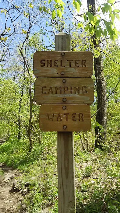 Whitley Gap Shelter Picture 9