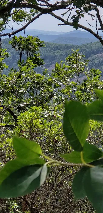 Whitley Gap Shelter Picture 8