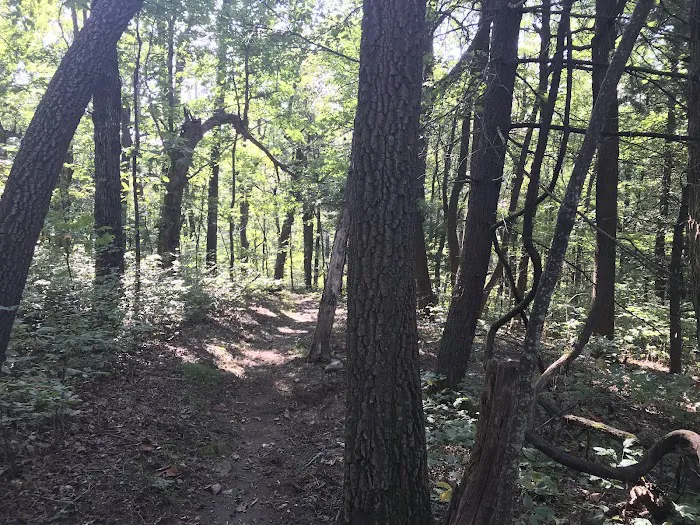 Whitley Gap Shelter Picture 10