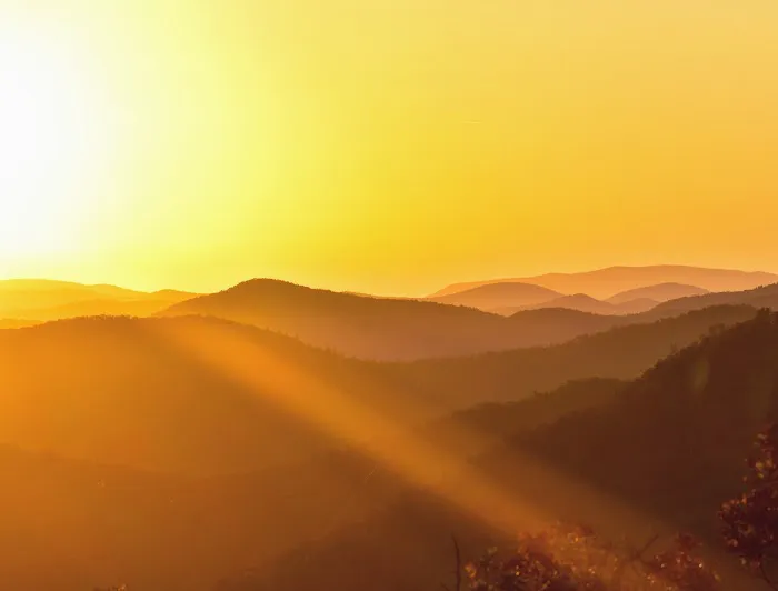 Wolf Laurel Top Picture 4