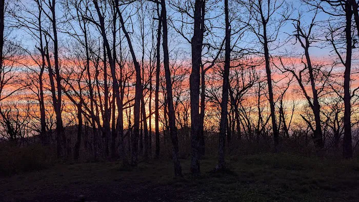 Wolf Laurel Top Picture 2