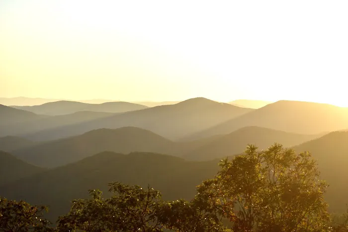 Wolf Laurel Top Picture 1