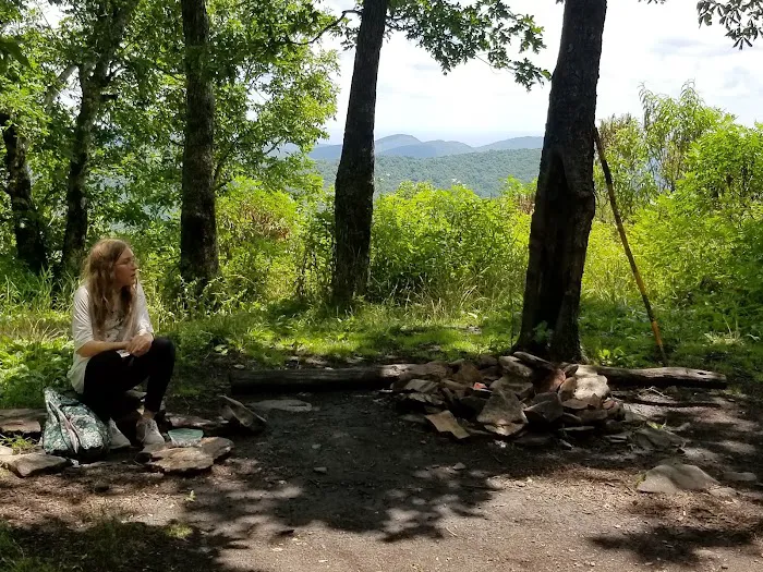 Wolf Laurel Top Picture 7