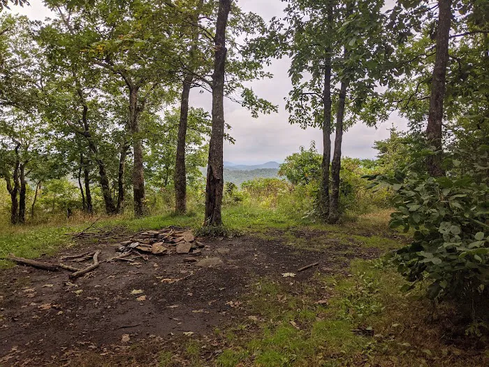 Wolf Laurel Top Picture 5