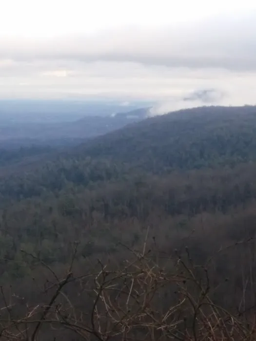 AT Campsite Picture 4