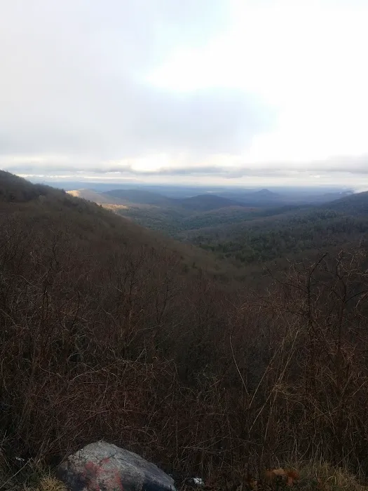 AT Campsite Picture 2