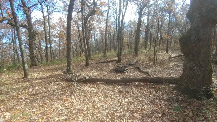 AT Campsite Picture 3