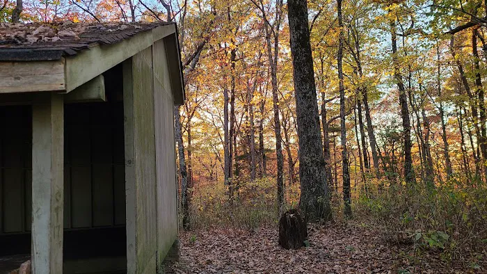 Blue Mountain Shelter Picture 2