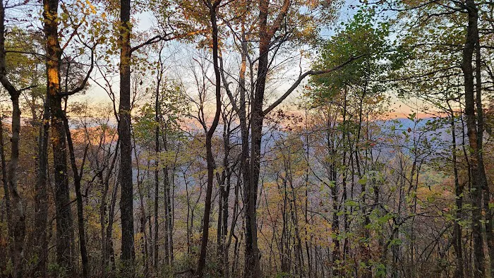 Blue Mountain Shelter Picture 4