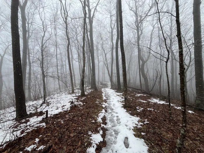 Blue Mountain Shelter Picture 5
