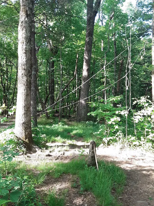 Blue Mountain Shelter Picture 9