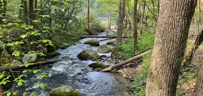 Backcountry Campsite #98 Picture 1