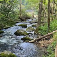 Backcountry Campsite #98 ico