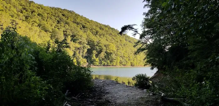 Backcountry Campsite #98 Picture 5