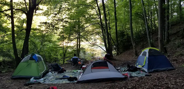 Backcountry Campsite #98 Picture 8