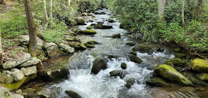 Backcountry Campsite #98 Picture 9