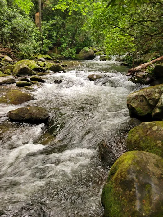 Backcountry Camp 74 Picture 2