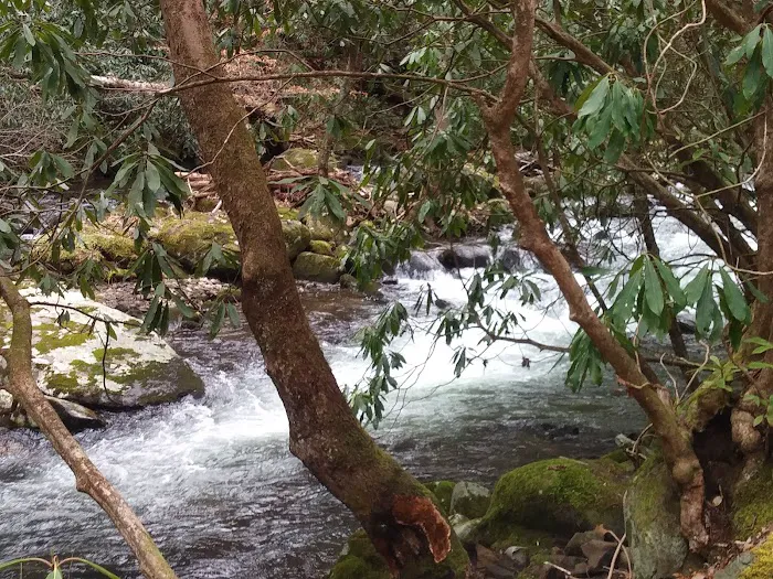 Backcountry Camp 74 Picture 5