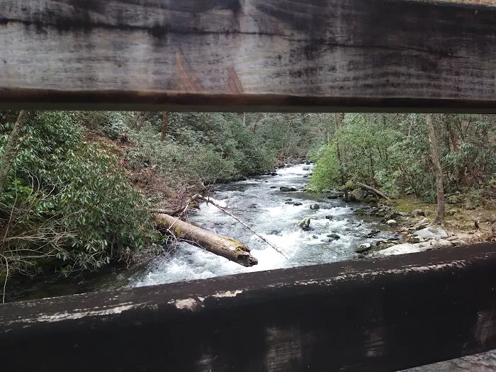 Backcountry Camp 74 Picture 8