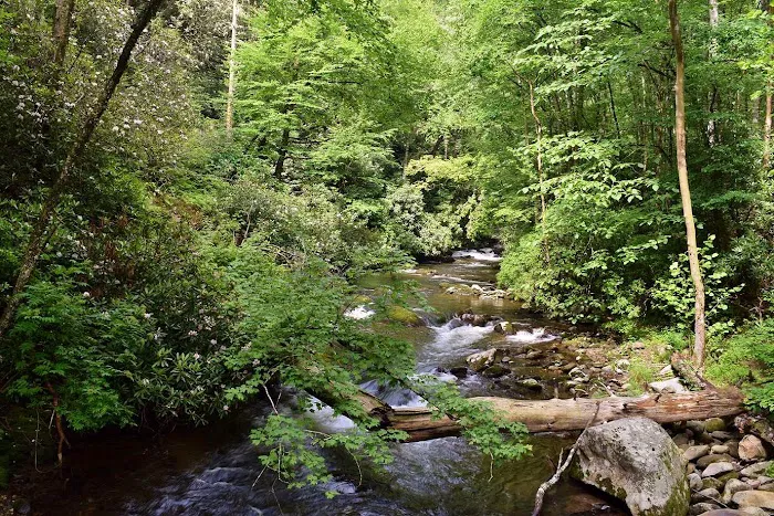 Backcountry Camp 74 Picture 10