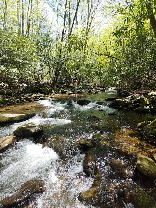 Backcountry Camp 64 Picture 3