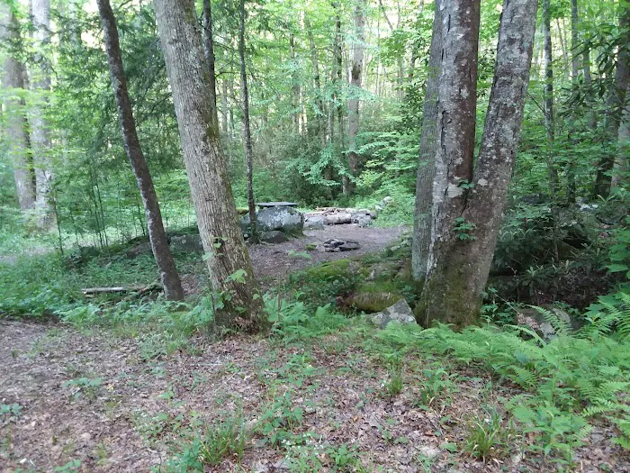 Backcountry Camp 64 Picture 2