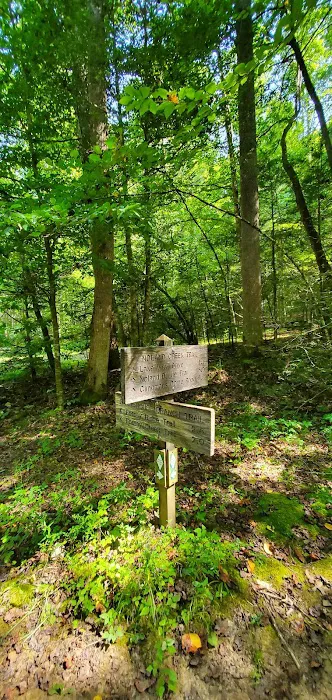 Backcountry Camp 64 Picture 1