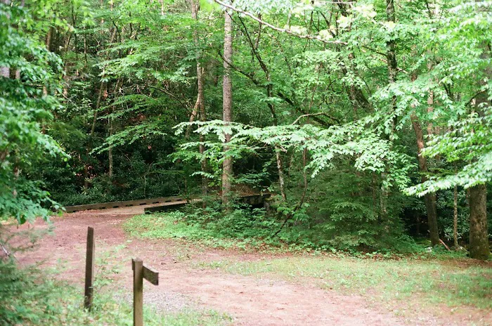 Backcountry Camp 64 Picture 6