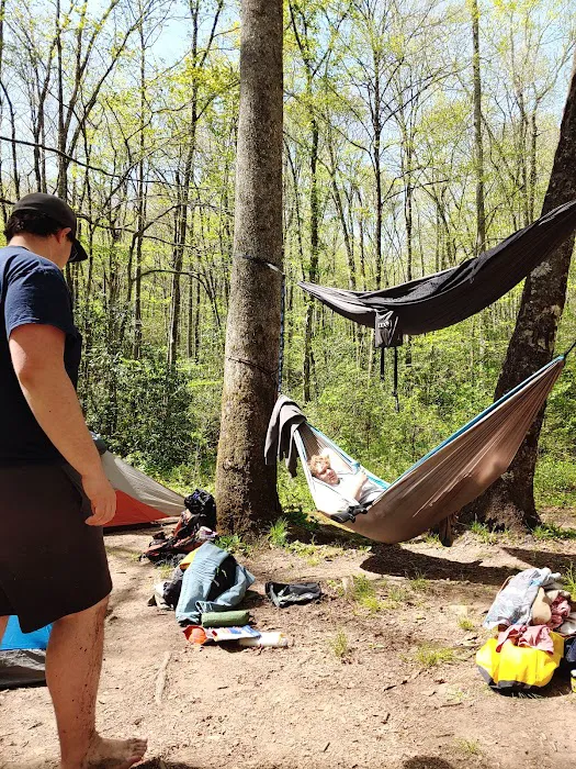 Backcountry Camp 64 Picture 4