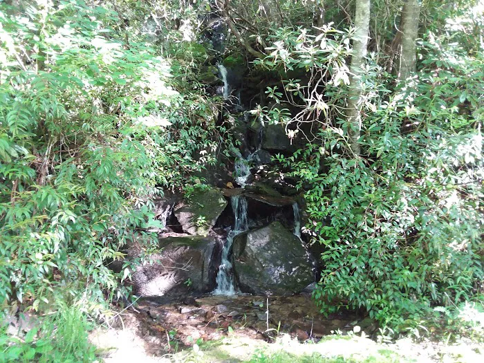 Backcountry Camp 64 Picture 9