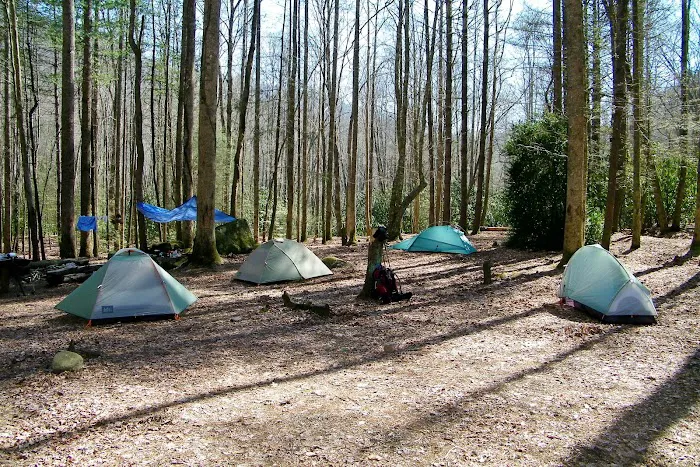 Backcountry Campsite #71 Picture 1