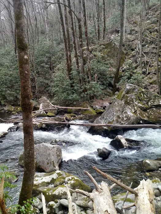 Backcountry Campsite #71 Picture 5