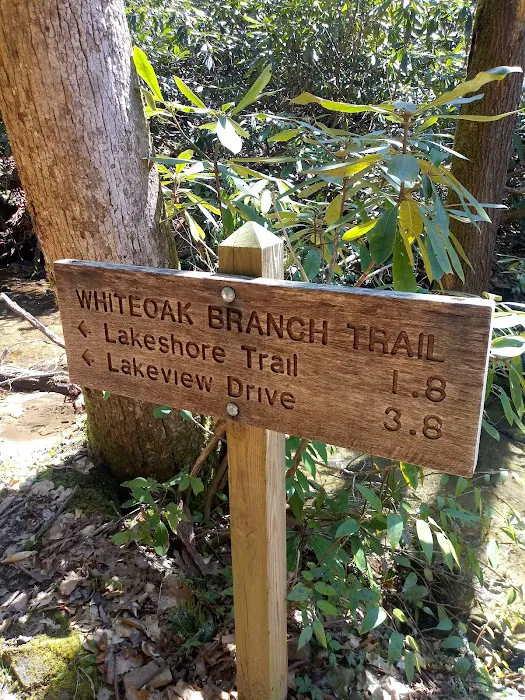 Backcountry Campsite #71 Picture 8