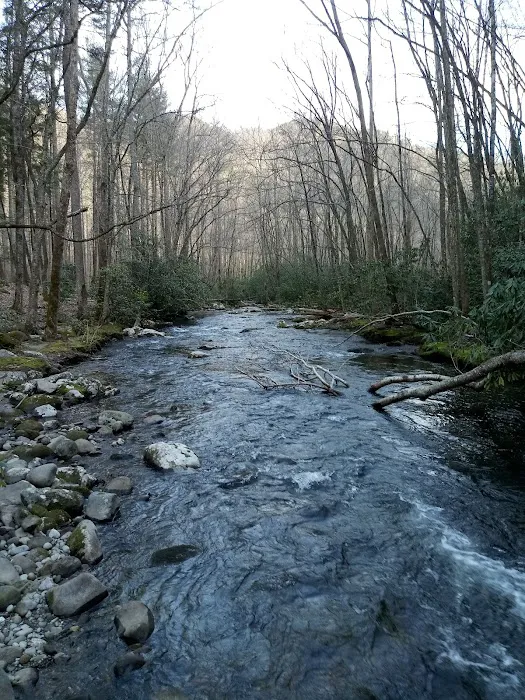 Backcountry Campsite #71 Picture 10