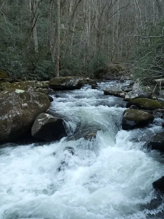 Backcountry Campsite #71 Picture 9