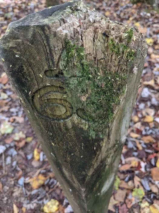 Backcountry Camp 63 Picture 1