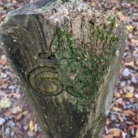 Backcountry Camp 63 ico