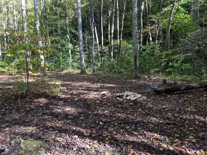 Backcountry Camp 63 Picture 3