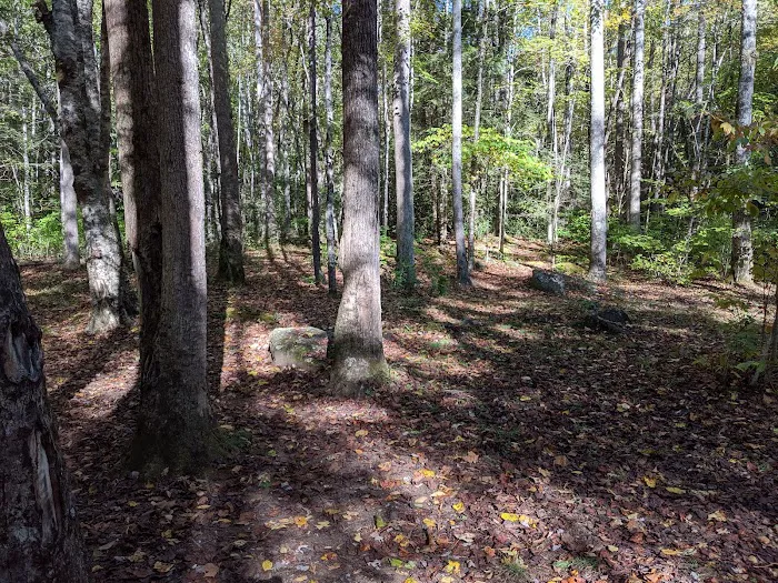 Backcountry Camp 63 Picture 2