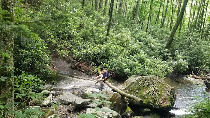 Backcountry Campsite #68 Picture 1