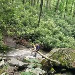 Backcountry Campsite #68