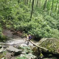 Backcountry Campsite #68 ico