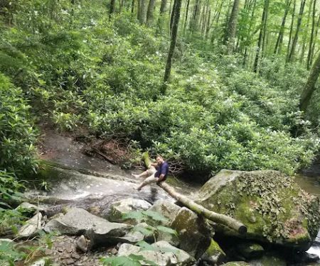 Backcountry Campsite #68