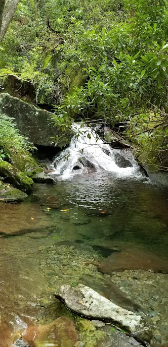 Backcountry Campsite #68 Picture 4