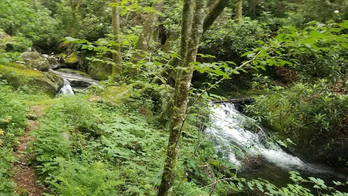 Backcountry Campsite #68 Picture 5